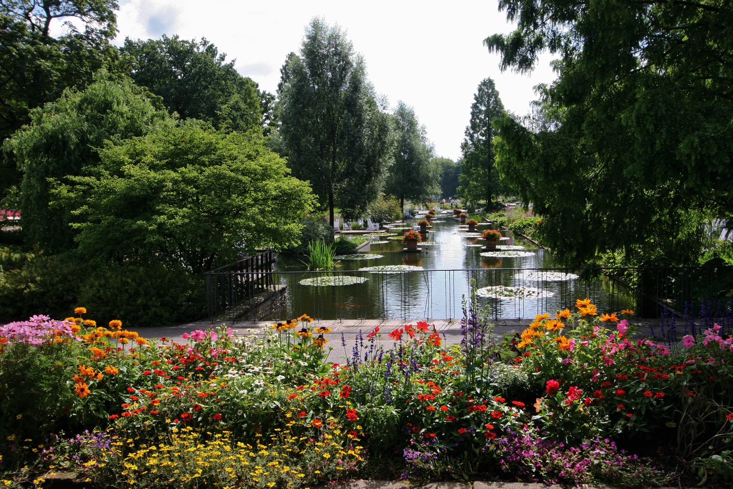 balade fleurie dans le parc planten un blomen au centre de Hamburg