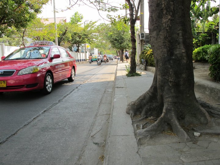 En Thaïlande, on plante des arbres au milieu du trottoir, il est donc impossible de marcher sur le trottoir.